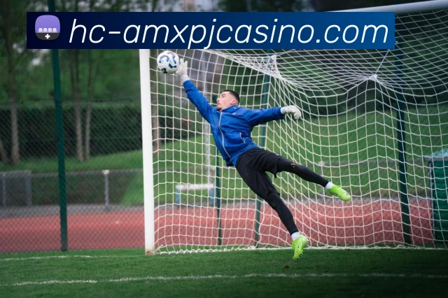 新葡京娱乐服务体系